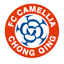 Chongqing Dikai - Cmcl 33263 Results
