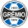Gremio Youth - Football Leagues