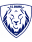 FC Diarra - Team Fc Diarra 356940 Sport