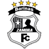 Zamora II - B VS Zamora Ii Live Score