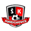 Harichovce - Team Harichovce 331512 Live Score Today
