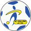 SC Golling - Team Sc Golling 305143 Football Live Score