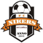 Nikars - Team Nikars 335168 Live Score Today