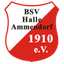 BSV Halle-Ammendorf - Team Bsv Halleammendorf 333098 Sport
