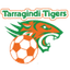 Tarragindi Tigers Reserves - Team Tarragindi Tigers Reserves 336060 Football Result
