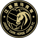 Jiangxi Dark Horse Junior - Club VS Jiangxi Dark Horse Junior Result