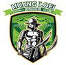 Muang Loei United - Team Muang Loei United 329623 Football Live Score