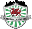 Sport in Caerphilly - Team Sport In Caerphilly 332733 Live Result