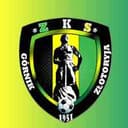 Gornik Zlotoryja - Zlotoryja VS Piast Zmigrod Result Today