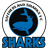 Sutherland Sharks - Team St George City Fa 299527 Schedule