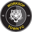 Worksop Town U18 - Team Worksop Town U 314767 Scores