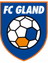 FC Gland - Team Fc Collex Bossy 305861 Scores
