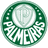 Palmeiras FC(U17) - Team Spg C Braga U 310409 Scores