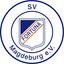 SV Fortuna Magdeburg - Team Sv Fortuna Magdeburg 325358 Football