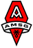 AMSG FC (W) - Team Amsg Fc W 386144 Football Live Score