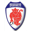 Bromsgrove Sporting FC - Town VS Bromsgrove Sporting Fc Score