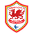 Cardiff City U23 - Eng U League 32505 Live Score