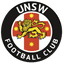UNSW FC Women - Aus Nsw Womens League 33589 Football Score