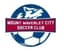Mount Waverley City SC - Team Mount Waverley City Sc 344222 Live Score