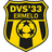 DVS 33 Ermelo - Team Stedoco 326848 Scores