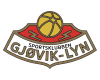 Gjovik Lyn - Lyn VS Stromsgodset B Score Today