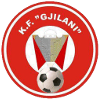 Gjilani - Player Mevlan Adili 209360 303371 Football Result