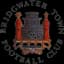 Bridgwater United Women - Team Bridgwater United W 349767 Result