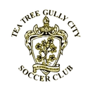 Tea Tree Gully City - Lions VS Tea Tree Gully City Result Today