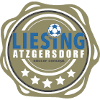 Liesing Atzgersdorf - Atzgersdorf VS Nussdorfer Ac Result Today