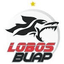 Lobos BUAP U20 - Team Lobos Buap U 331209 Football Live Score