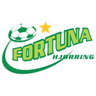 Fortuna Hjorring Women - Team Kolding Bk Women 314581 Live Score Today