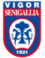 Vigor Senigallia - Team Vigor Senigallia 359543 Sport