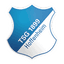 Hoffenheim Women - Team Hoffenheim Women 300039 Football Result