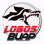 Lobos Prepa - Team Lobos Prepa 326912 Football Live