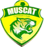 Muscat FC - Team Muscat Fc 356980 Schedule
