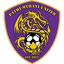 Pathum Thani United - Team Pathum Thani United 321144 Live Result