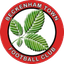 Beckenham Town - Team Beckenham Town 311417 Results