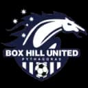 Box Hill Women - Women VS Box Hill Women Live Score