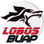 Lobos BUAP - Team Lobos Buap 316071 Football Live Score