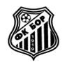 Bor 1919 - Team Bor 396048 Live