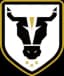Bulls Academy (W) U23 - Team Bulls Academy W U 386440 Football Live