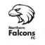 Northern Falcons SC - Team Northern Falcons Sc 344159 Live Result
