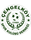 Cengelkoyspor - Team Cengelkoyspor 339073 Football Result