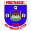 Persitangsel Tangerang Selatan - Team Persitangsel Tangerang Selatan 340828 Football Score