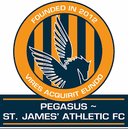 Pegasus - Fc VS Pegasus Live Score Today