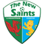 The New Saints Women - Team The New Saints Women 350330 Live Football