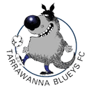 Tarrawanna Blueys - Blueys VS Sydney United Fc Result Today