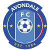 Avondale FC (w) - W VS Avondale Fc W Live