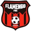 Flamengo FBC (W) - Team Flamengo Fbc W 376410 Live Score