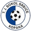TJ Sokol Srbice - Team Tj Sokol Srbice 334547 Football